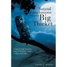 Natural Conclusions from the Big Thicket: Scriptural Light from the Natural World for Adults to Share with Kids