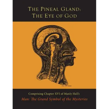 The Pineal Gland: The Eye of God