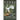 To Dance with the White Dog