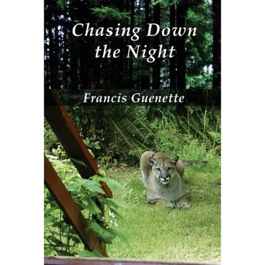 Chasing Down the Night