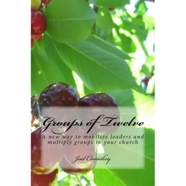 Groups of Twelve: A new way to mobilize leaders and multiply groups in your chur