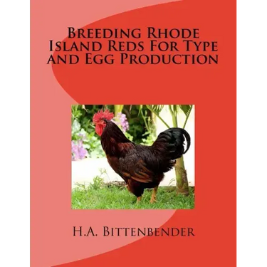 Breeding Rhode Island Reds For Type and Egg Production
