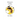 The Medical Aspects of Beekeeping