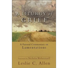 A Liturgy of Grief: A Pastoral Commentary on Lamentations
