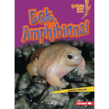 Eek, Amphibians!