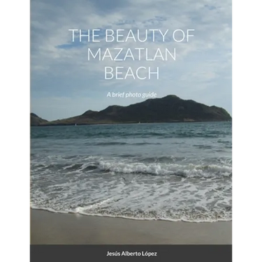 The beauty of Mazatlan beach - A brief photo guide: A brief photo guide