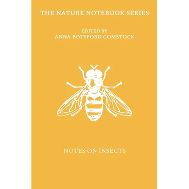 Notes on Insects