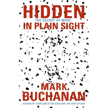 The Hidden in Plain Sight: The Secret of More