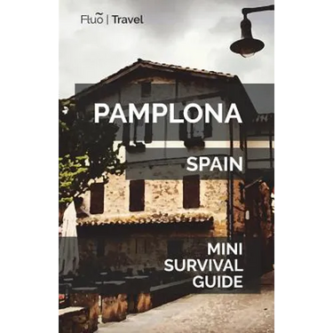 Pamplona Mini Survival Guide