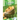 Lizards