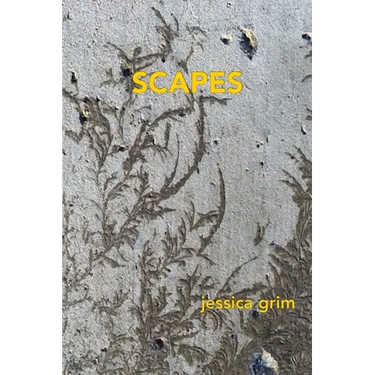 Scapes