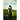 The Marriage of Miss Jane Austen: Volume III