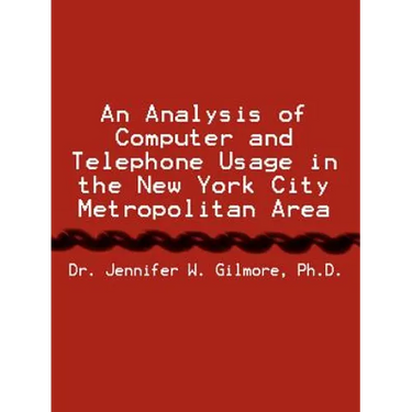 An Analysis of Computer and Telephone Usage in the New York City Metropolitan Area