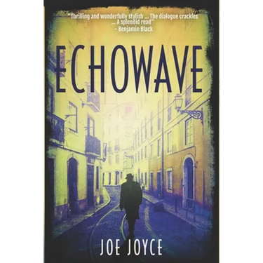 Echowave: Book 3 of the WW2 spy novels set in neutral Ireland