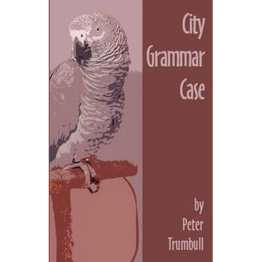 City Grammar Case