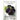 Blackberry Wine