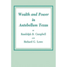 Wealth and Power in Antebellum Texas