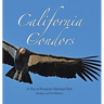 California Condors: A Day at Pinnacles National Park