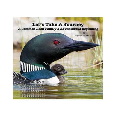 Let's Take A Journey: A Common Loon Family's Adventurous Beginning