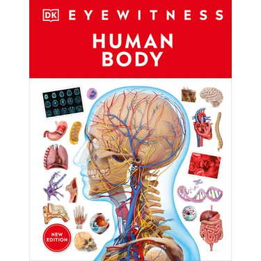 Eyewitness Human Body