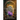 The Dreamer's Curse