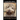 Labradoodles, Labradoodle Training Book for Both Labradoodle Dogs & Labradoodle Puppies By D!G THIS Dog Training: Dog Training Begins From the Car Rid