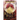 The Rebel's Prize