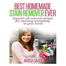 Best Homemade Stain Remover Ever: Expert's all-natural recipes for cleaning everything in your home
