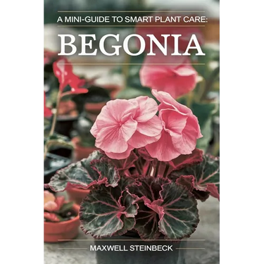 A mini-guide to smart plant care: Begonia