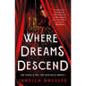 Where Dreams Descend