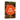 Fungi Decoded: Adventures in the Mycosphere--Encounters with Thirty Fungi