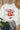 f2a471e0-b48d-4aee-aaf0-1147b10c84b1-Max