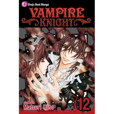 Vampire Knight, Vol. 12