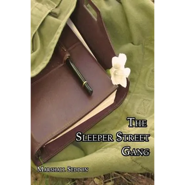 The Sleeper Street Gang