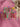 f58748f1348d4872a3e4f414a00db23a-Max