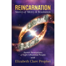 Reincarnation Stories of Mercy & Resolution: Karmic Revelations of Eight Influential People