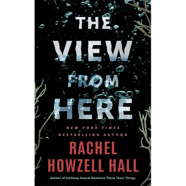 The View from Here: A Thriller