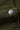 f6b0c509-b7b4-436b-96b1-4bc79db12d99-Max