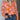 f711759263b343639b8302d5226367c4-Max