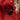 f7a9cb92eae2471c8d8bfdc396086679-Max