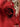 f7a9cb92eae2471c8d8bfdc396086679-Max