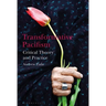 Transformative Pacifism: Critical Theory and Practice