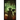 Burial