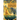 Foundations of Buddhism