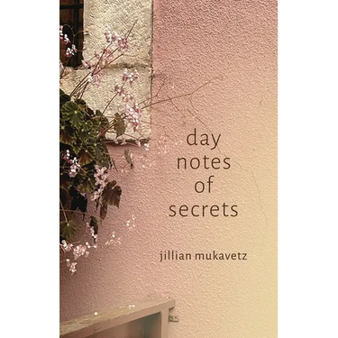 day notes of secrets