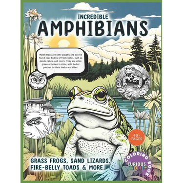Incredible Amphibians, Kids k-12 Wildlife Coloring Book: Educational Coloring Book