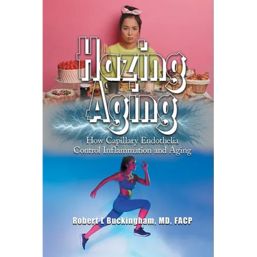 Hazing Aging: How Capillary Endothelia Control Inflammation and Aging