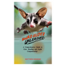 Sugar Glider Unleashed: A Comprehensive Guide to Care, Bonding and Joyful Companionship