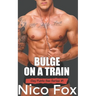 Bulge on a Train: A Gay Public Sex Story