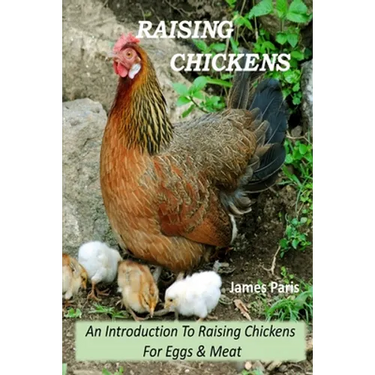 Raising Chickens - An Introduction To Raising Chickens For Eggs & Meat